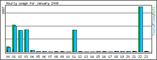 Hourly usage