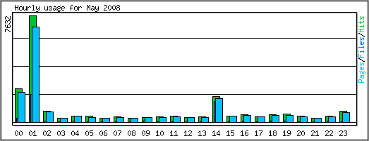 Hourly usage