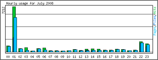 Hourly usage