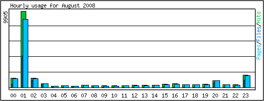 Hourly usage