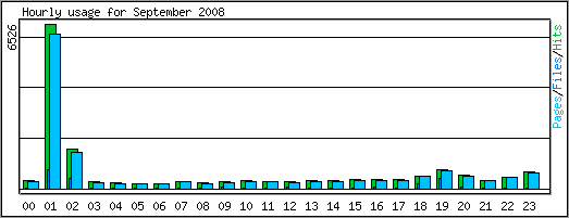 Hourly usage