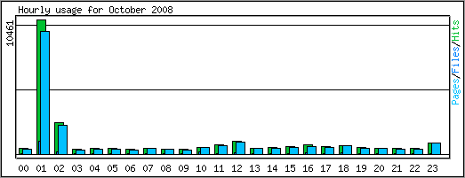 Hourly usage