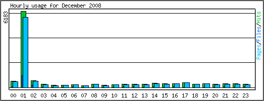 Hourly usage