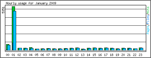 Hourly usage