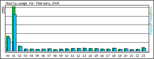 Hourly usage