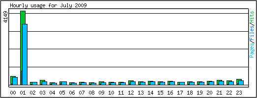 Hourly usage