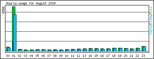 Hourly usage