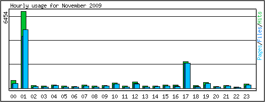 Hourly usage