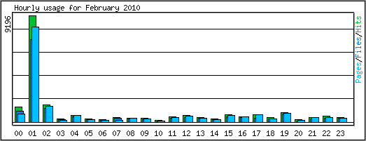 Hourly usage