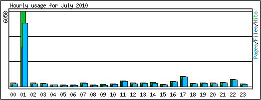 Hourly usage