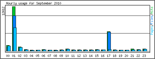 Hourly usage