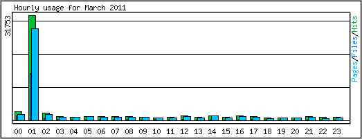 Hourly usage