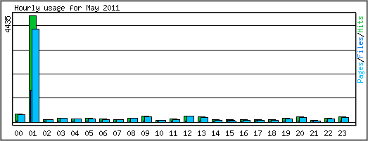 Hourly usage