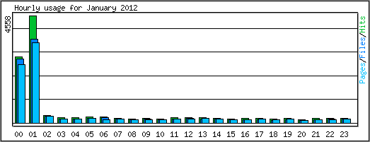 Hourly usage