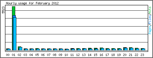 Hourly usage