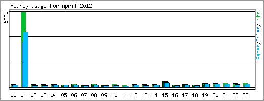 Hourly usage