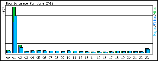 Hourly usage