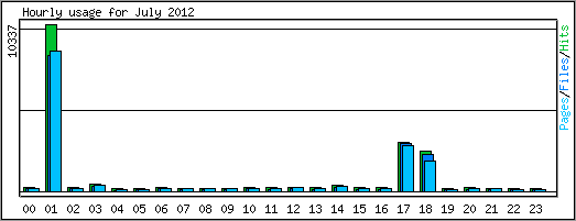 Hourly usage