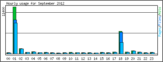 Hourly usage