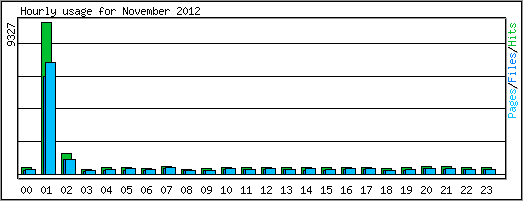 Hourly usage