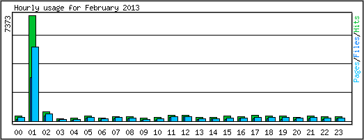 Hourly usage