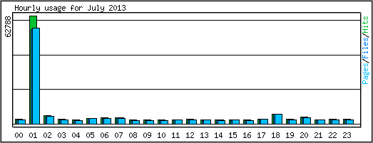 Hourly usage