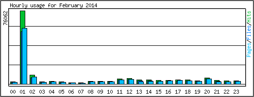 Hourly usage