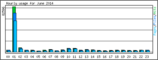 Hourly usage