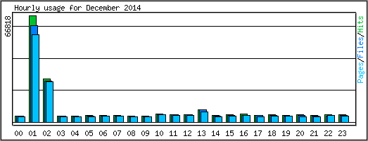 Hourly usage