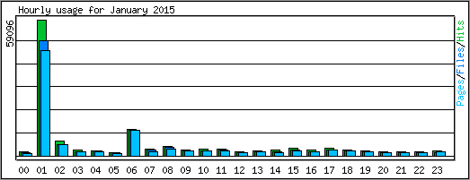 Hourly usage