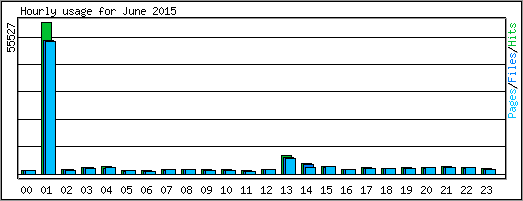 Hourly usage