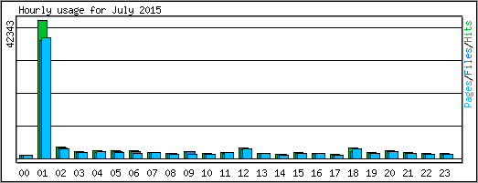 Hourly usage