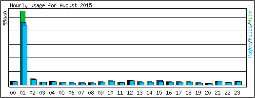 Hourly usage