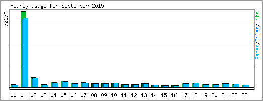 Hourly usage