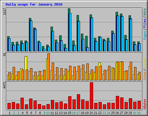 Daily usage for January 2010