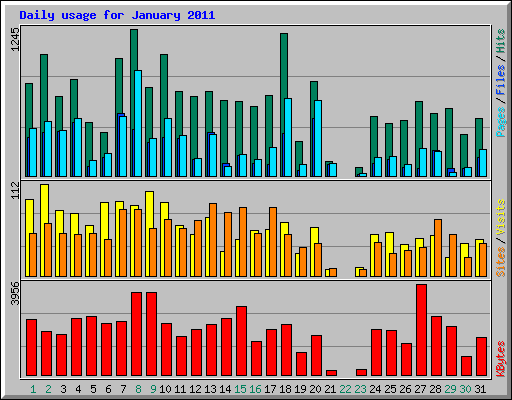 Daily usage for January 2011