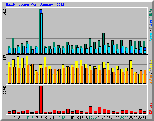 Daily usage for January 2013