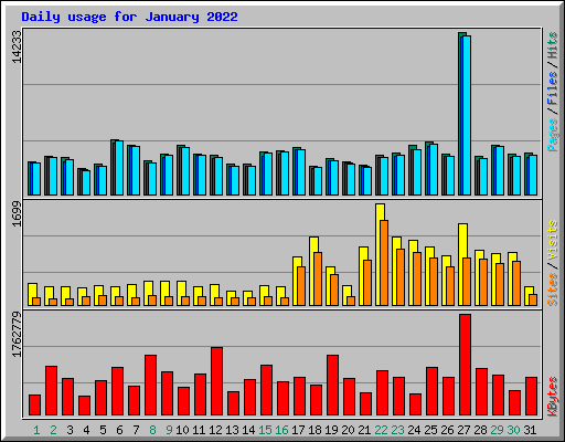 Daily usage for January 2022