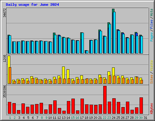 Daily usage for June 2024