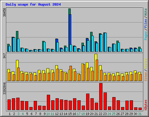 Daily usage for August 2024