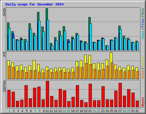 Daily usage for December 2024