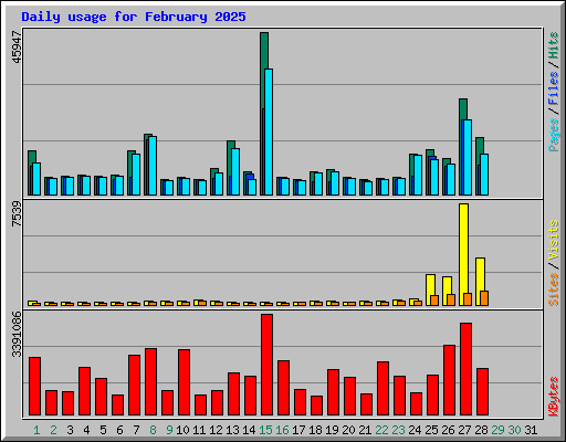 Daily usage for February 2025