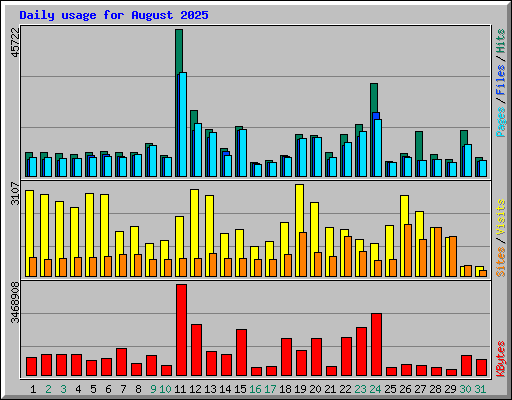 Daily usage for August 2025