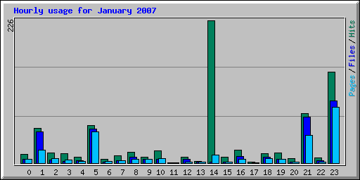 Hourly usage for January 2007