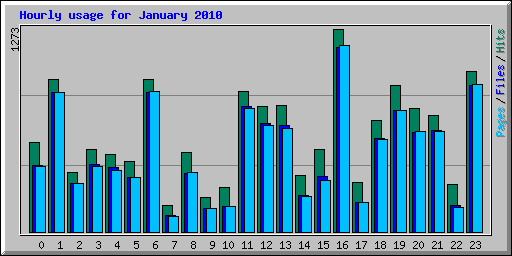 Hourly usage for January 2010