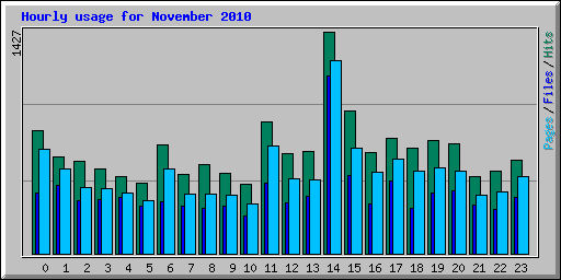 Hourly usage for November 2010