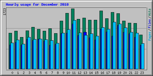 Hourly usage for December 2010