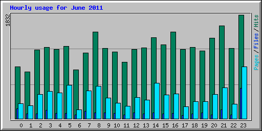 Hourly usage for June 2011