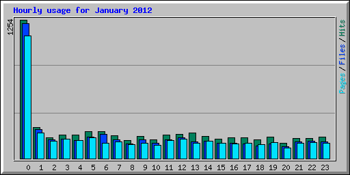 Hourly usage for January 2012