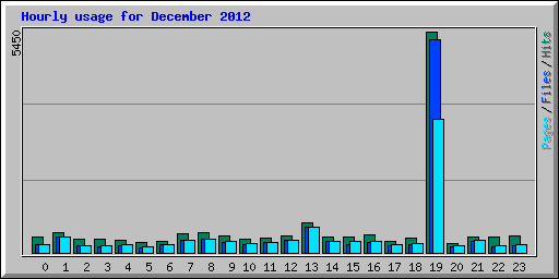 Hourly usage for December 2012